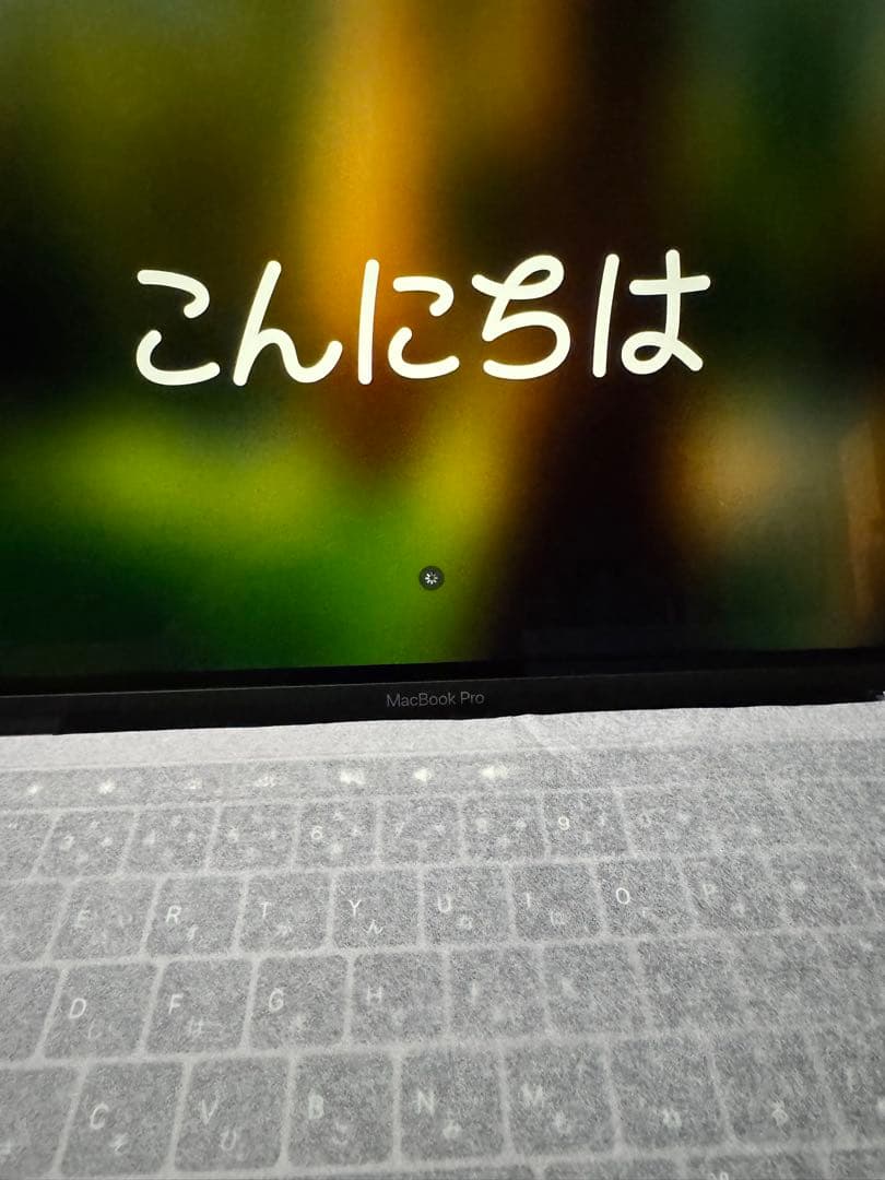 MacBook Pro 13インチ, 2019, 16GB,256GB SSD
