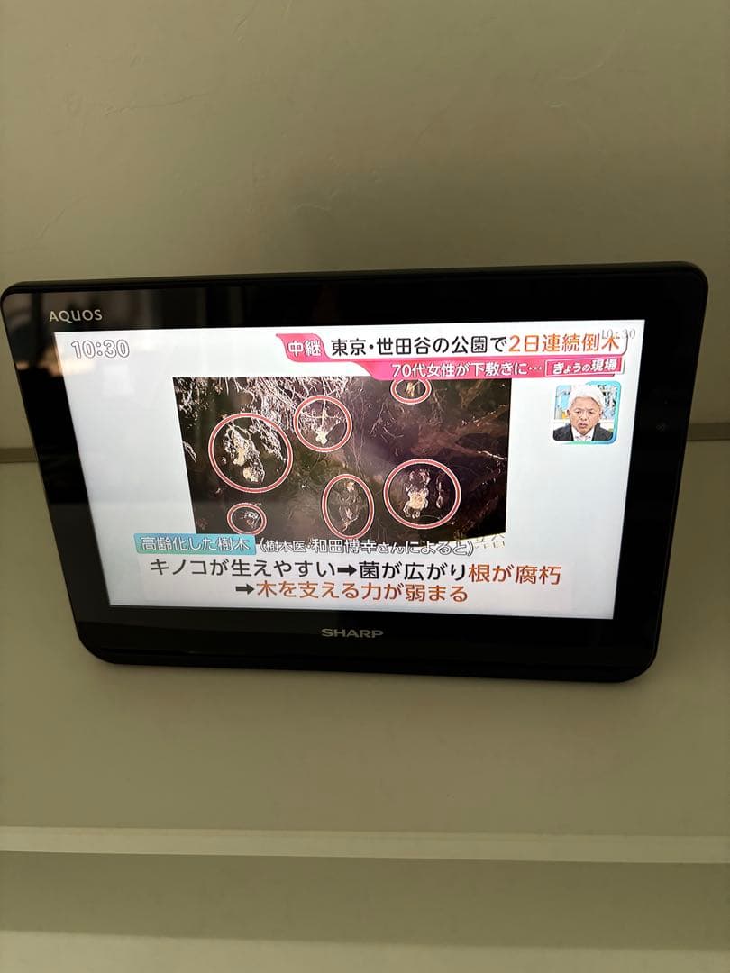 【値下げ】SHARP 12インチ ポータブルテレビ 2T-C12AF-B