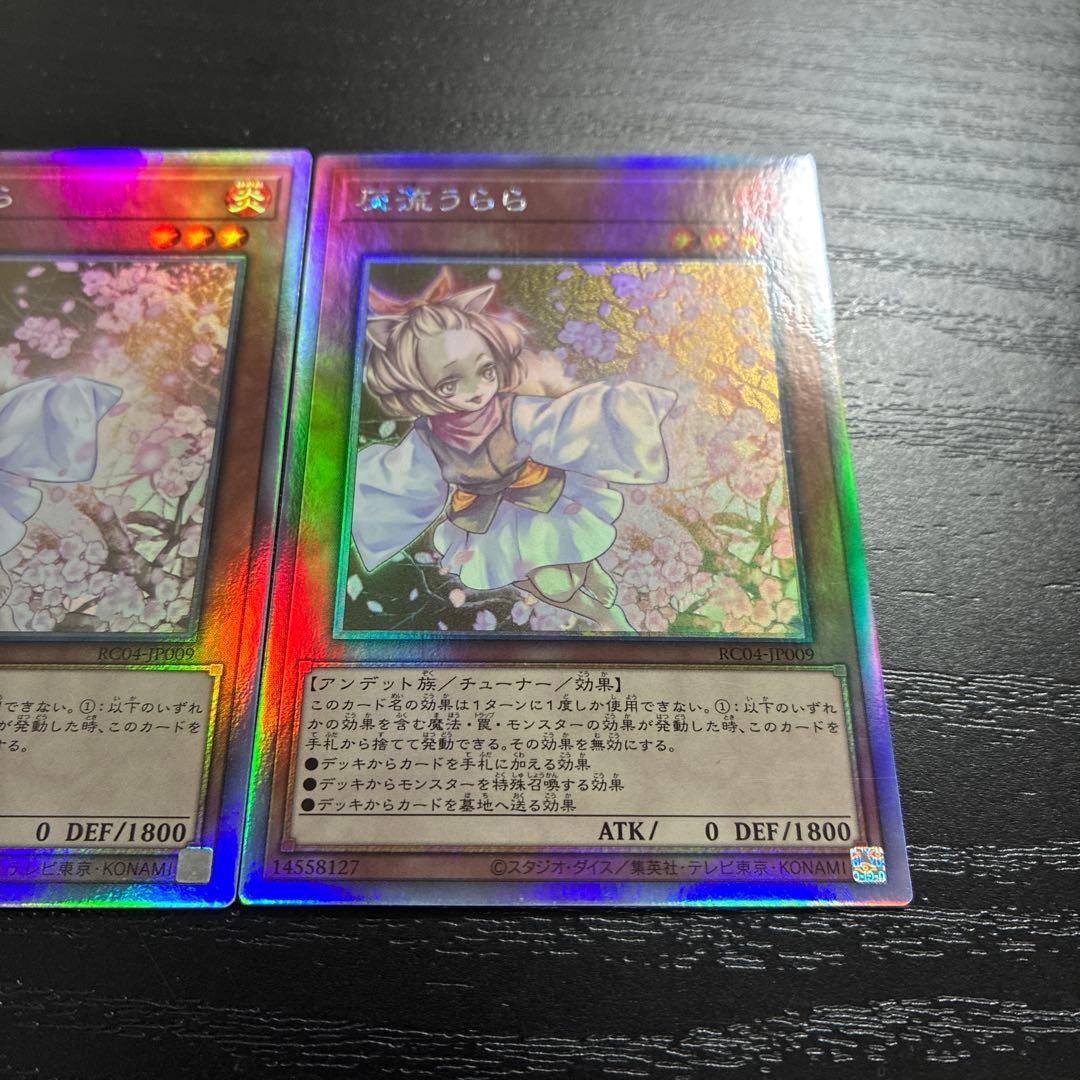 遊戯王　灰流うらら　ホログラフィックレア２枚