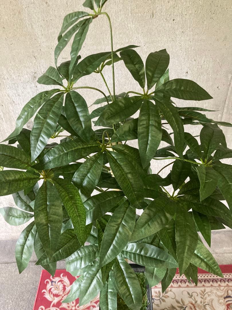 光触媒　人工観葉植物　ウォールグリーン　フェイクグリーン　パキラ12562