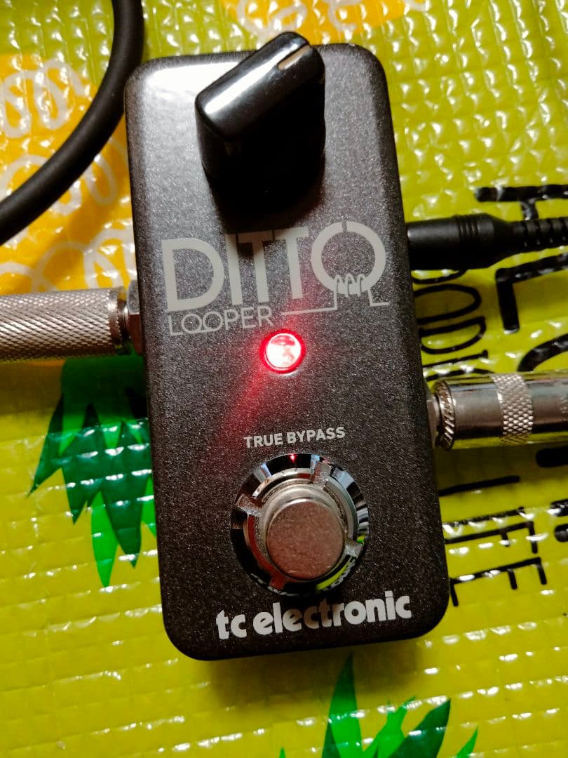 未使用 Ditto Looper ルーパー TC Electronic 元箱