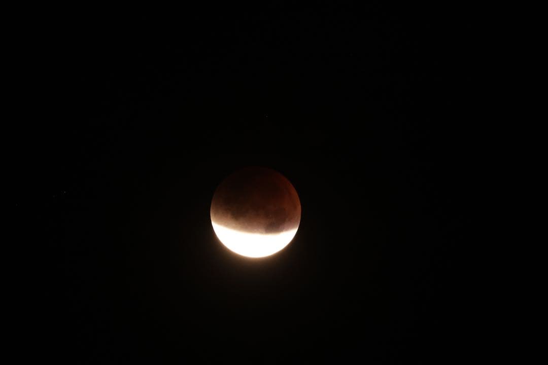 CANON キヤノン EF 100-400mm F4.5-5.6L IS II