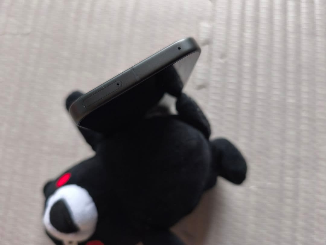 Google Pixel10　spigenケース付き