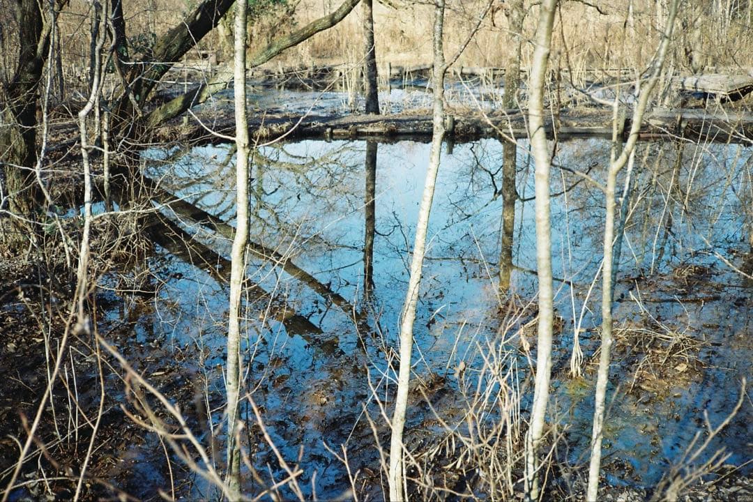 【撮影済み】PENTAX ESPIO 160 コンパクトフィルムカメラ