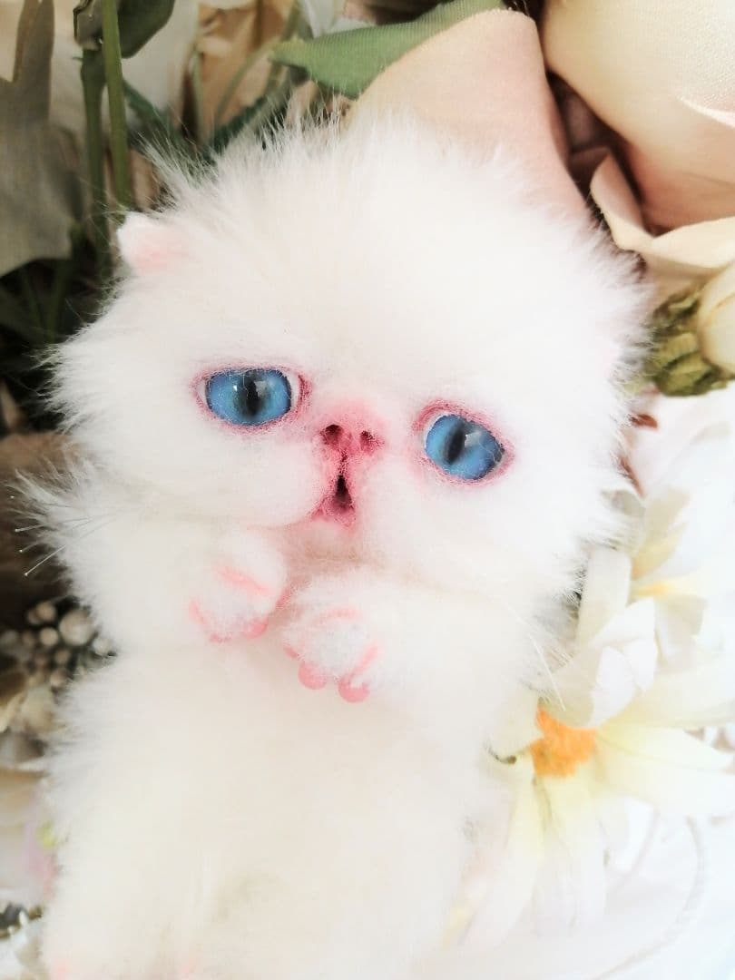 ミニミニ子猫ちゃん♡アートドール♡ぬいぐるみ♡エキゾチック♡ふわふわ♡