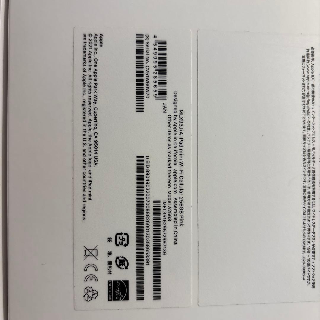 iPad mini 第6 256GB Wifi Cellular &pencil