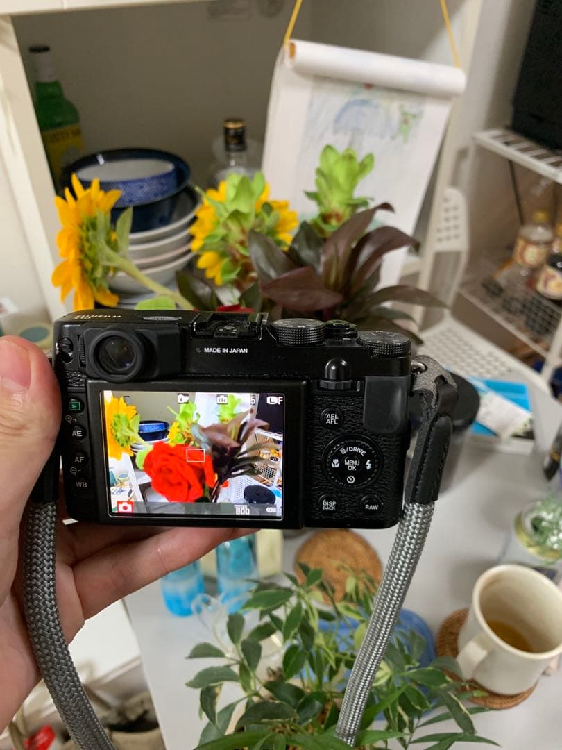 Fujifilm x10 動作確認済み