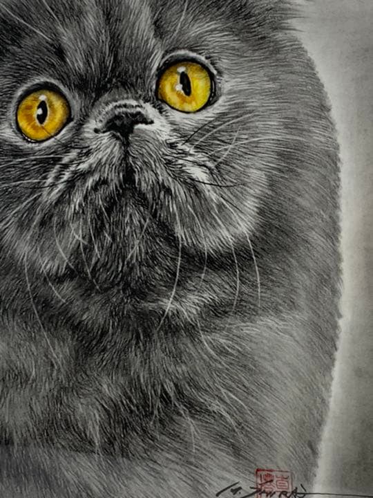 画家 白井真澄 木炭肉筆デッサン画  原画 真筆保証品！額入cat NO.28