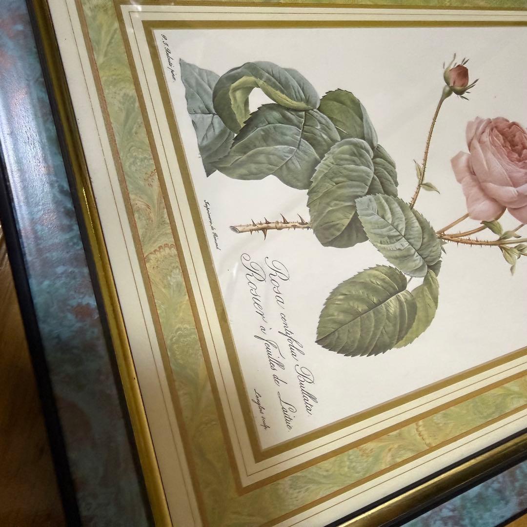 ピエール・ジョセフ ・ルドゥーテ 花柄 版画 絵画 2セット