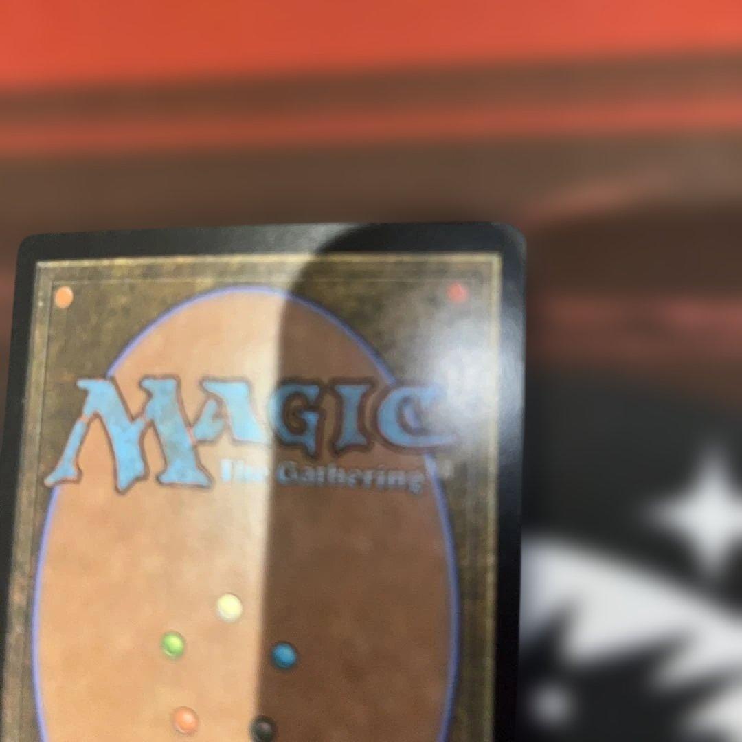 MTG ラノワールの荒原 Llanowar Westes APC日本語版foil