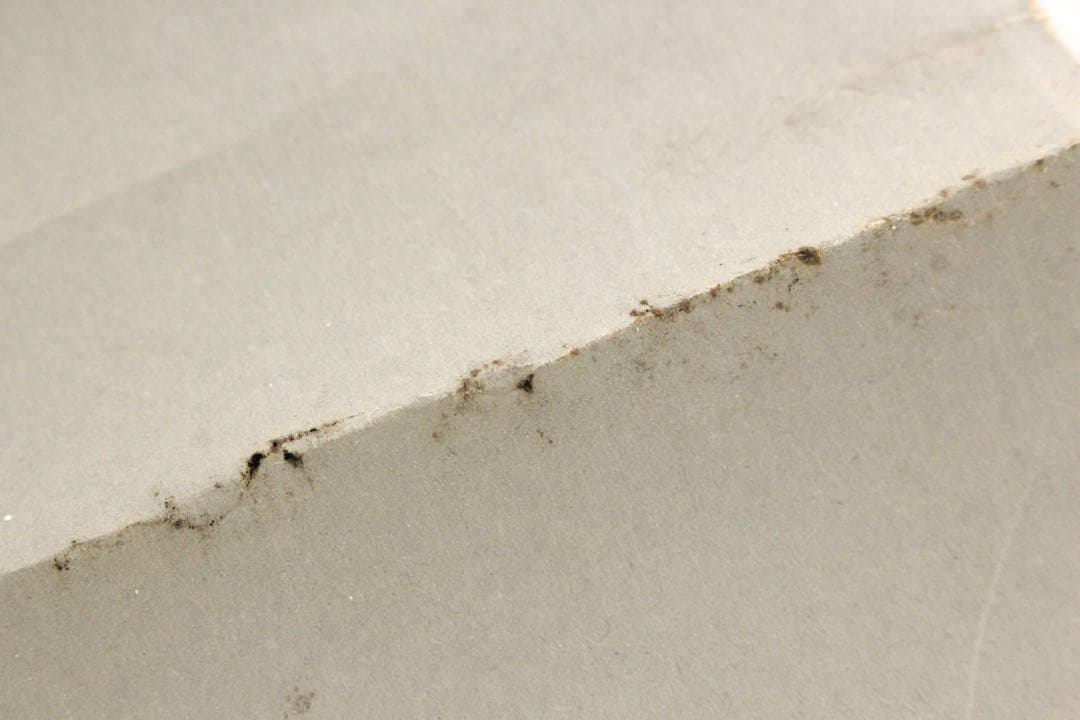 No5369 掛軸　拓本　平重盛謹書　「敬伸勤王」　紙本　版画　古美術　送料無料