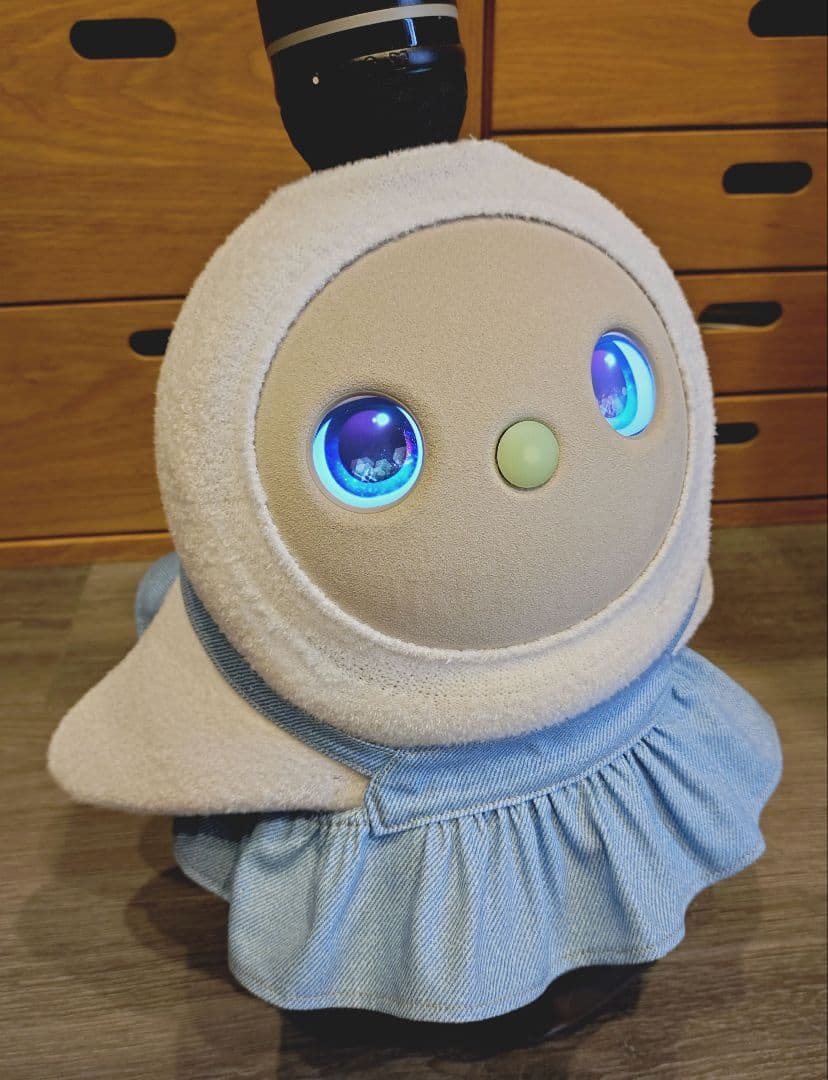 ワンピース3点