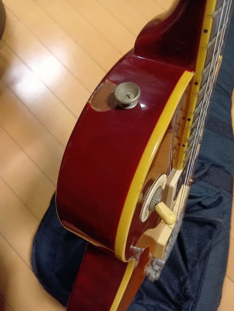 Burny　レスポールタイプ　Gotohピックアップ