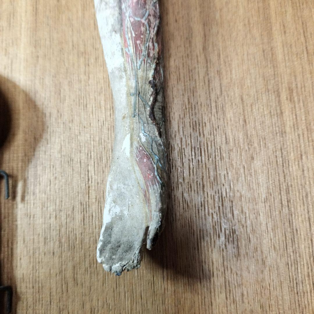 人体模型 　大昔の張り子　約60cm