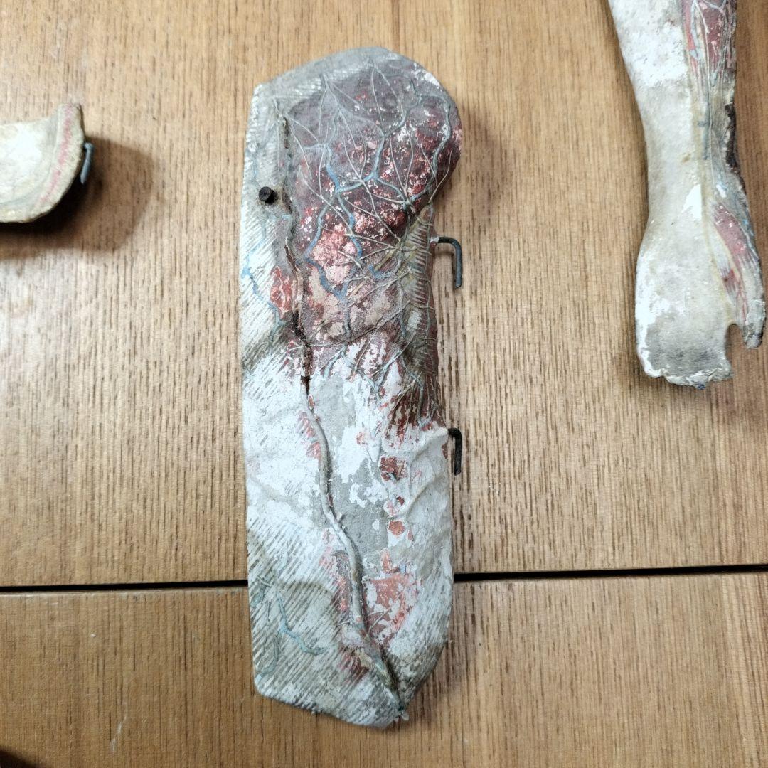 人体模型 　大昔の張り子　約60cm