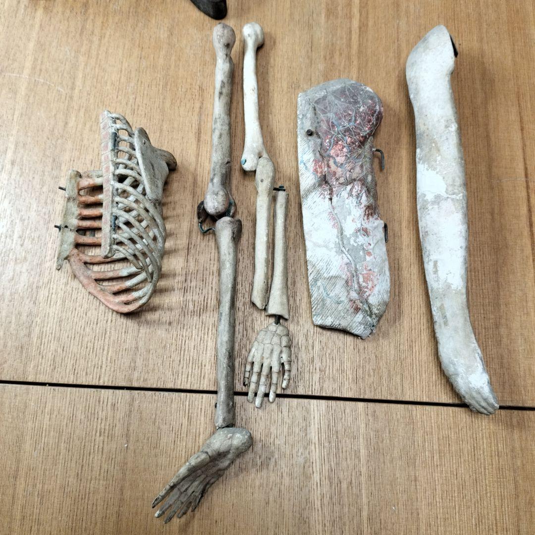 人体模型 　大昔の張り子　約60cm