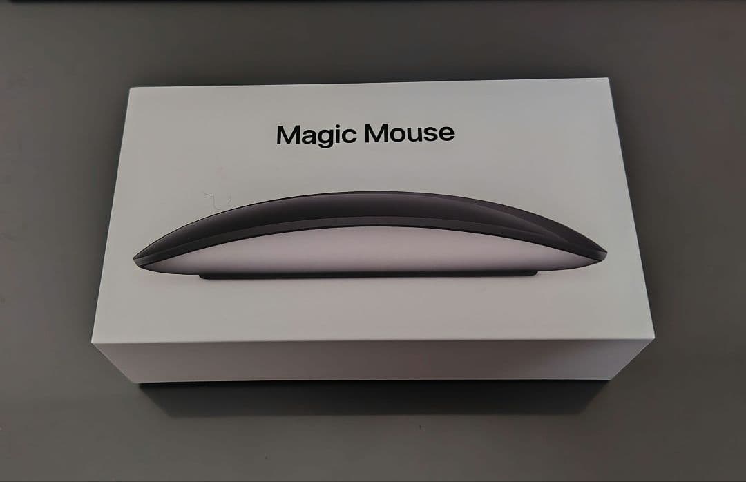 Apple Magic Mouse ブラック MMMQ3J/A