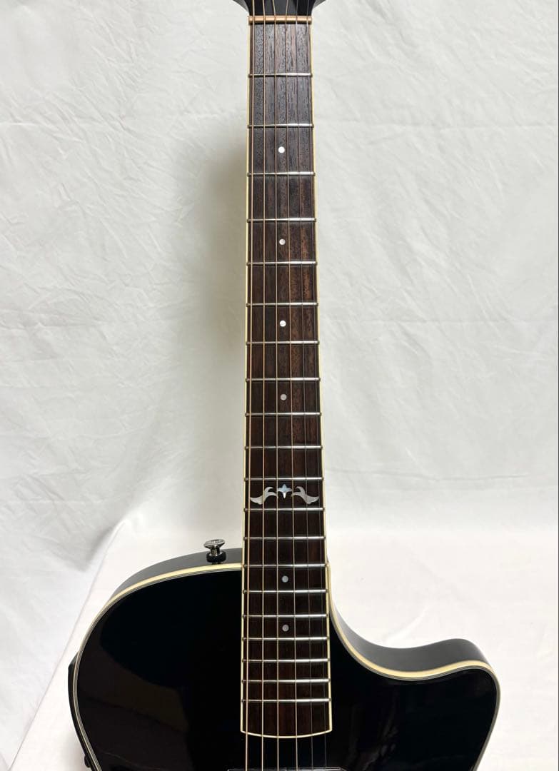 【新品弦張替済】CRAFTER エレアコ SA-TMBK L.R.Baggs