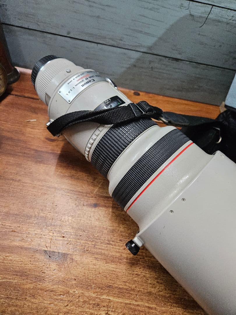 キャノン LENS EF 300mm 1:2.8 L ウルトラソニック レンズ