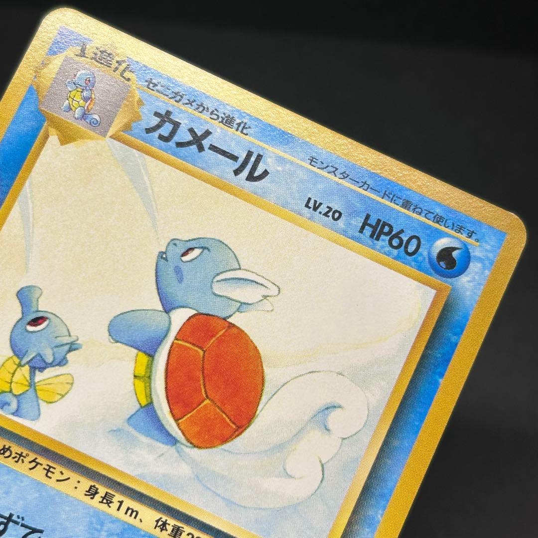 【旧裏3枚セット】サザンアイランド トロピカルアイランド 海辺 ヤドキング他