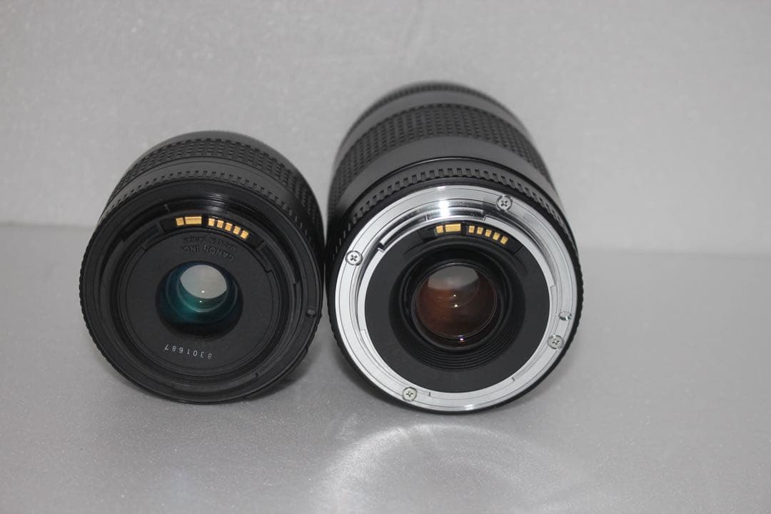 Wi-Fi/動画☆Canon EOS 7D MarkⅡ 標準&望遠レンズセット