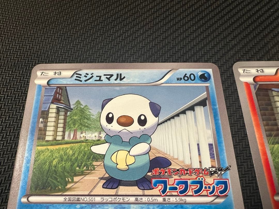 BW御三家　プロモカード　ミジュマル　ポカブ　ツタージャ　BW-P 3枚セット