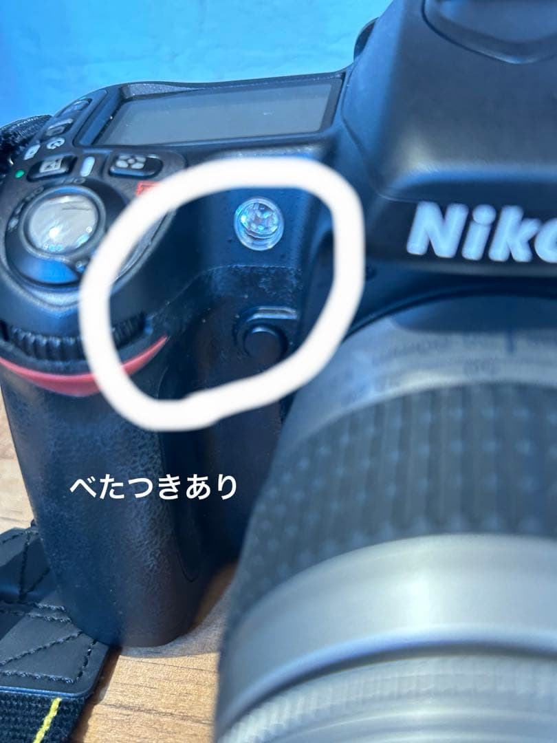 NIKON ニコン D80 　充電器付き