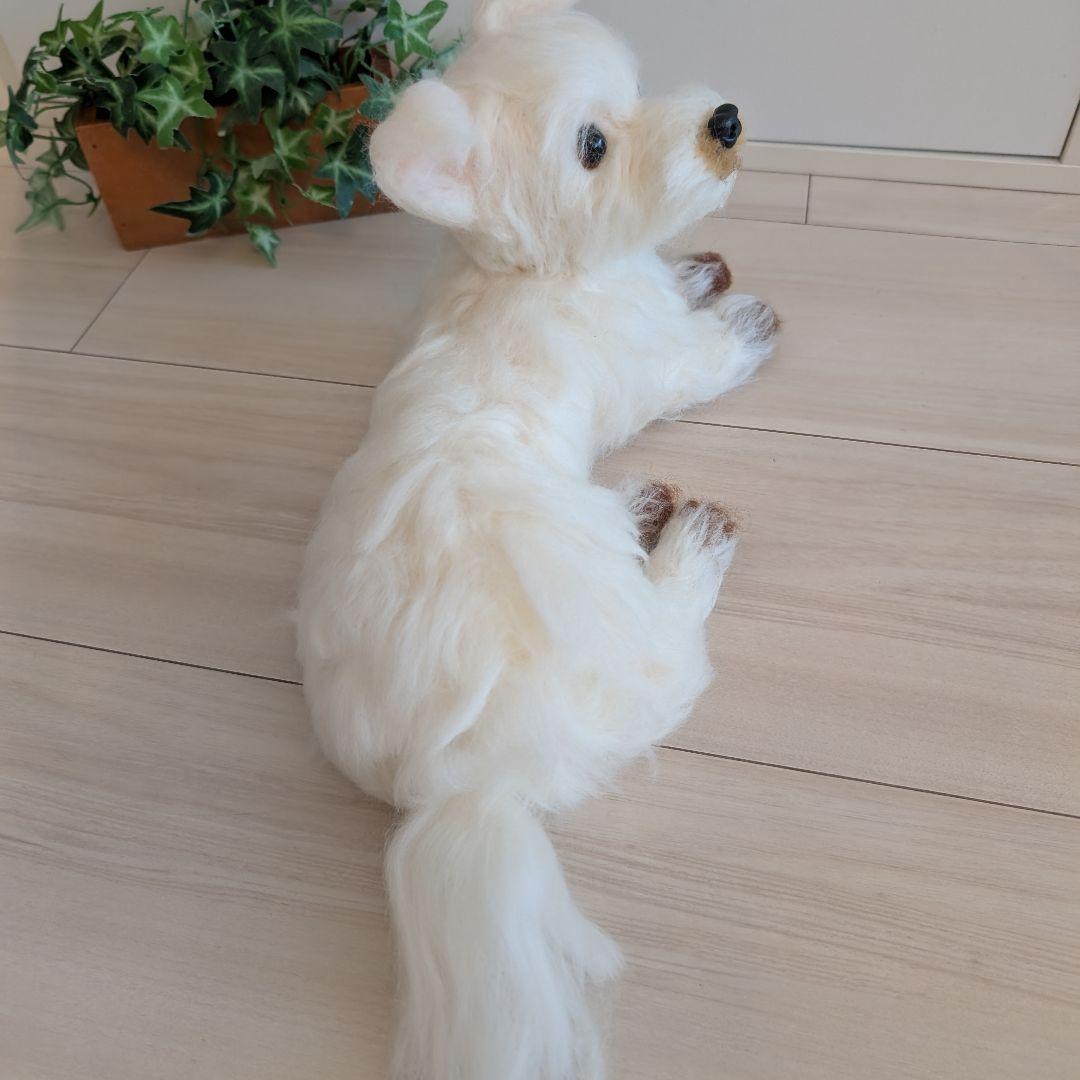 まーちゃんページです