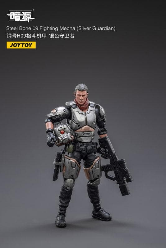 1/25 暗源 スティールボーン 09 ファイティングメカ シルバーガーディアン