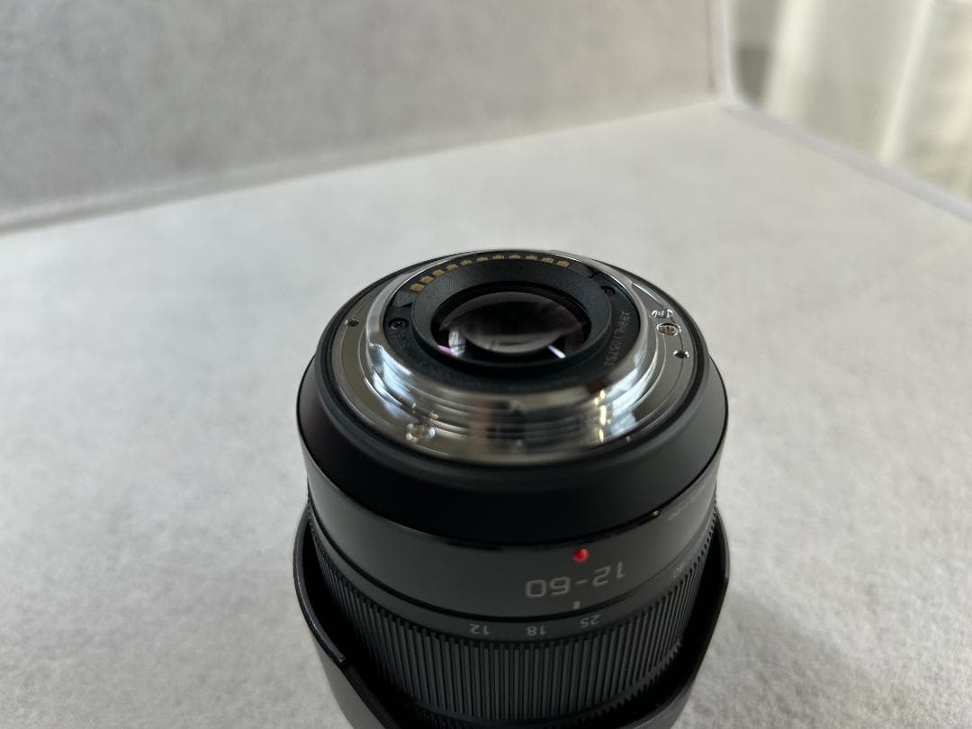 パナソニック LUMIX12-60mm F3.5-5.6 H-FS12060