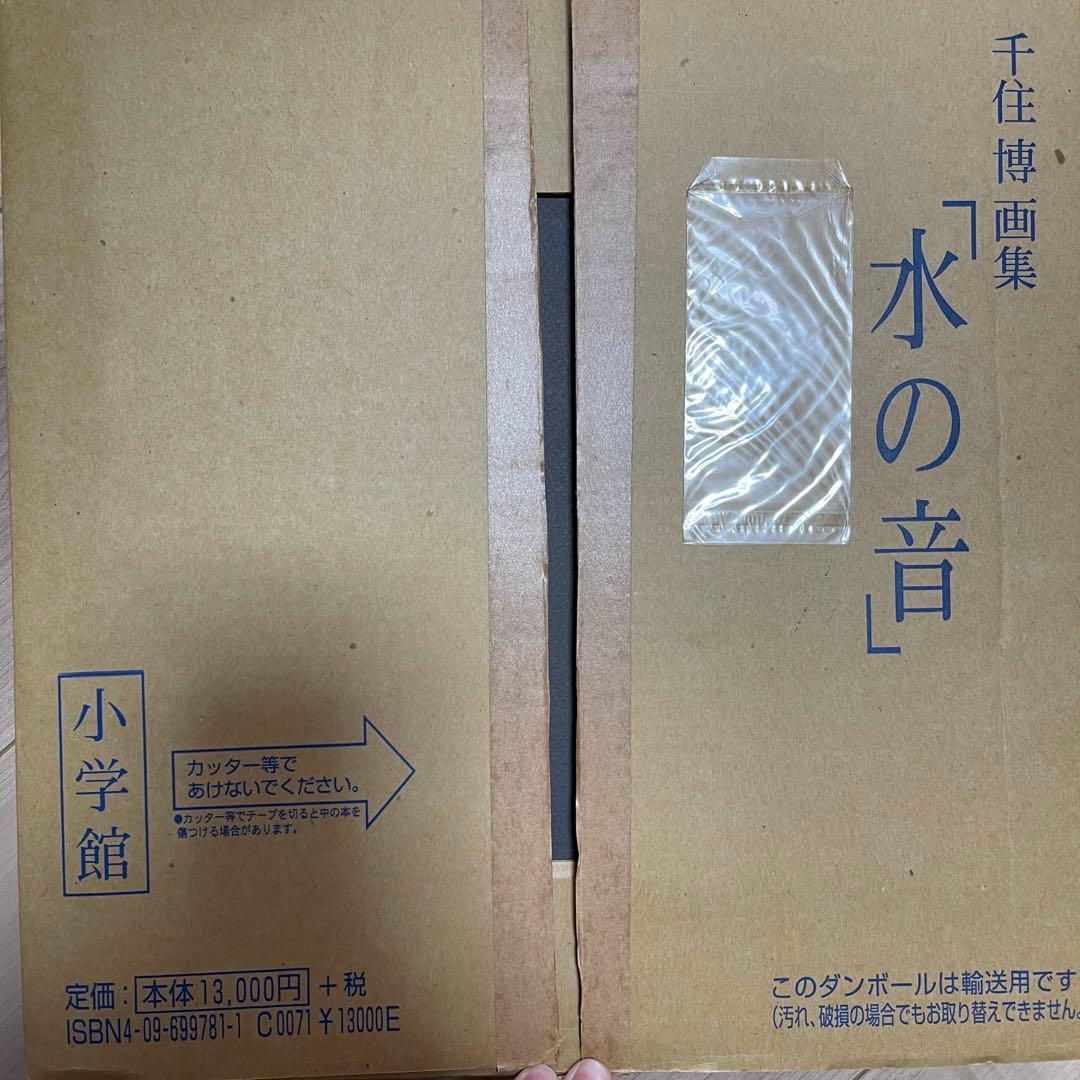 千住博 画集 水の音　美品