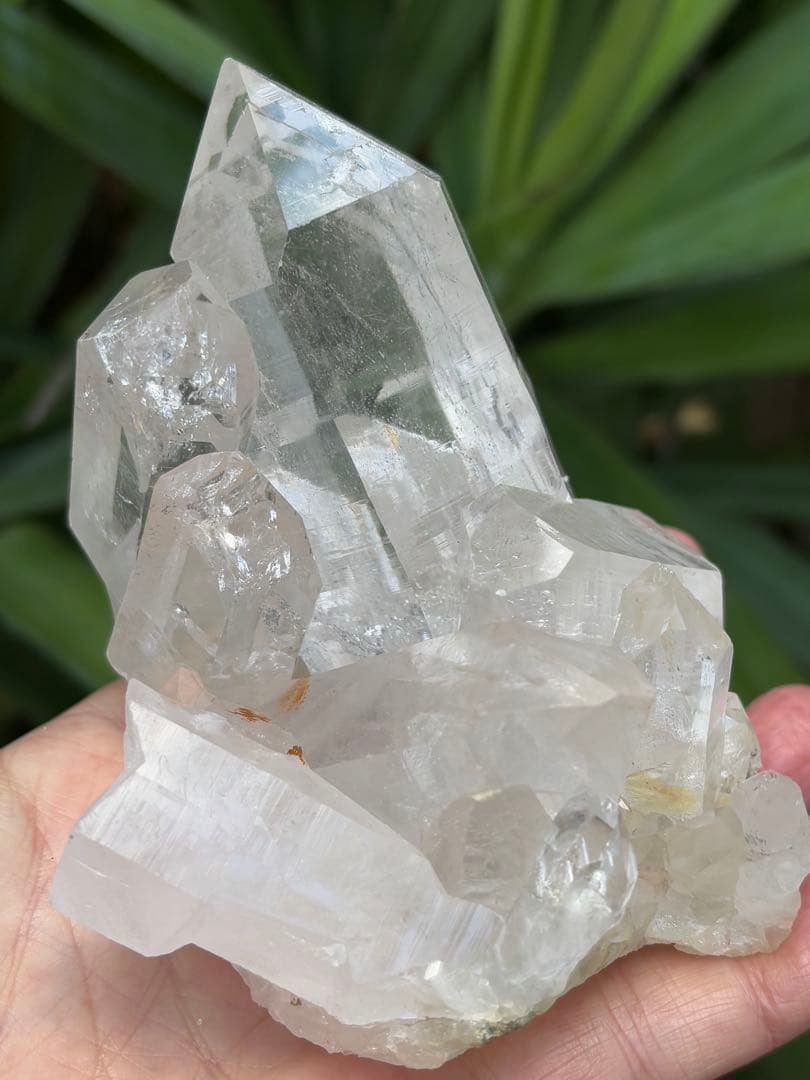 インド　マニハール水晶クラスター　636g クローライト　透明度　ヒマラヤ水晶