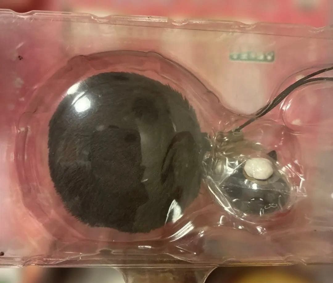 新品未使用　夏目友人帳　にゃんこ先生グッズ豪華９点セット即購入OK
