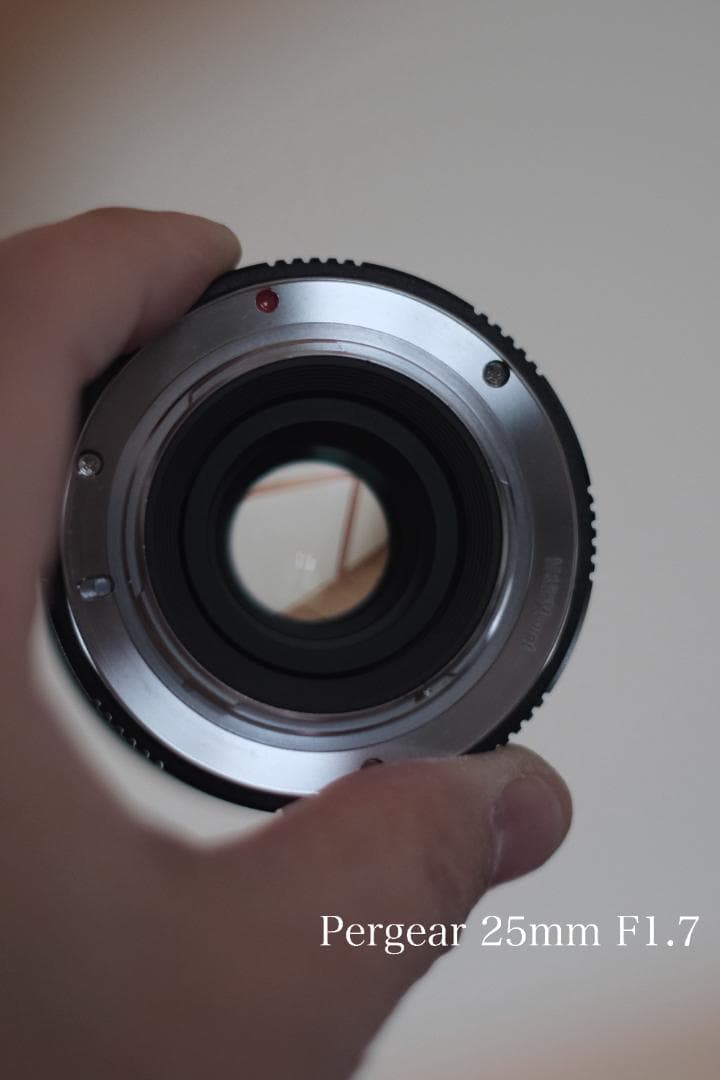Panasonic GX1 ミラーレス一眼 フルセット