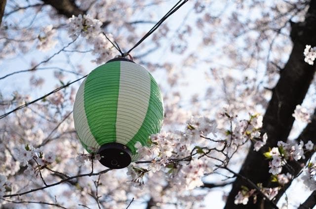 【オールドレンズ】Super Takumar 55mm f1.8 前期