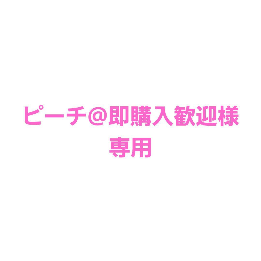 たまごっちパラダイス　たまパラ　カバー　ケース