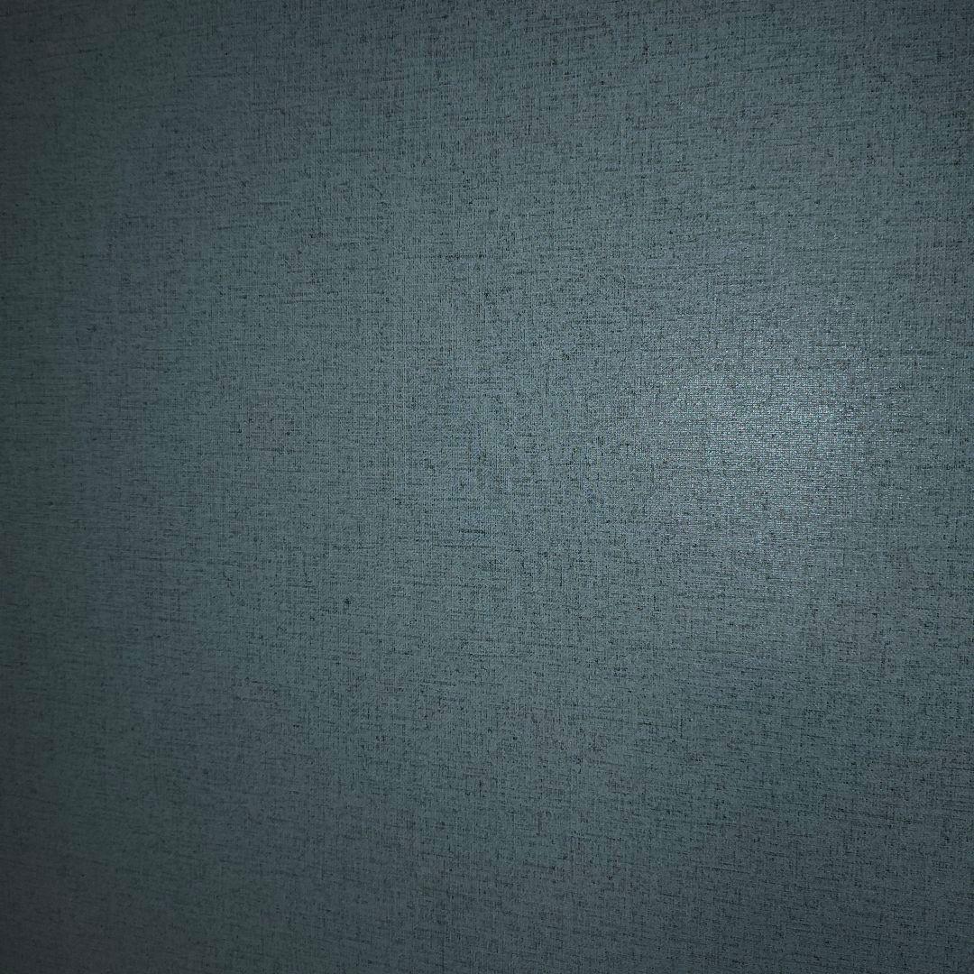 【1/3まで】XGIMI Horizon Pro 4Kプロジェクター本体