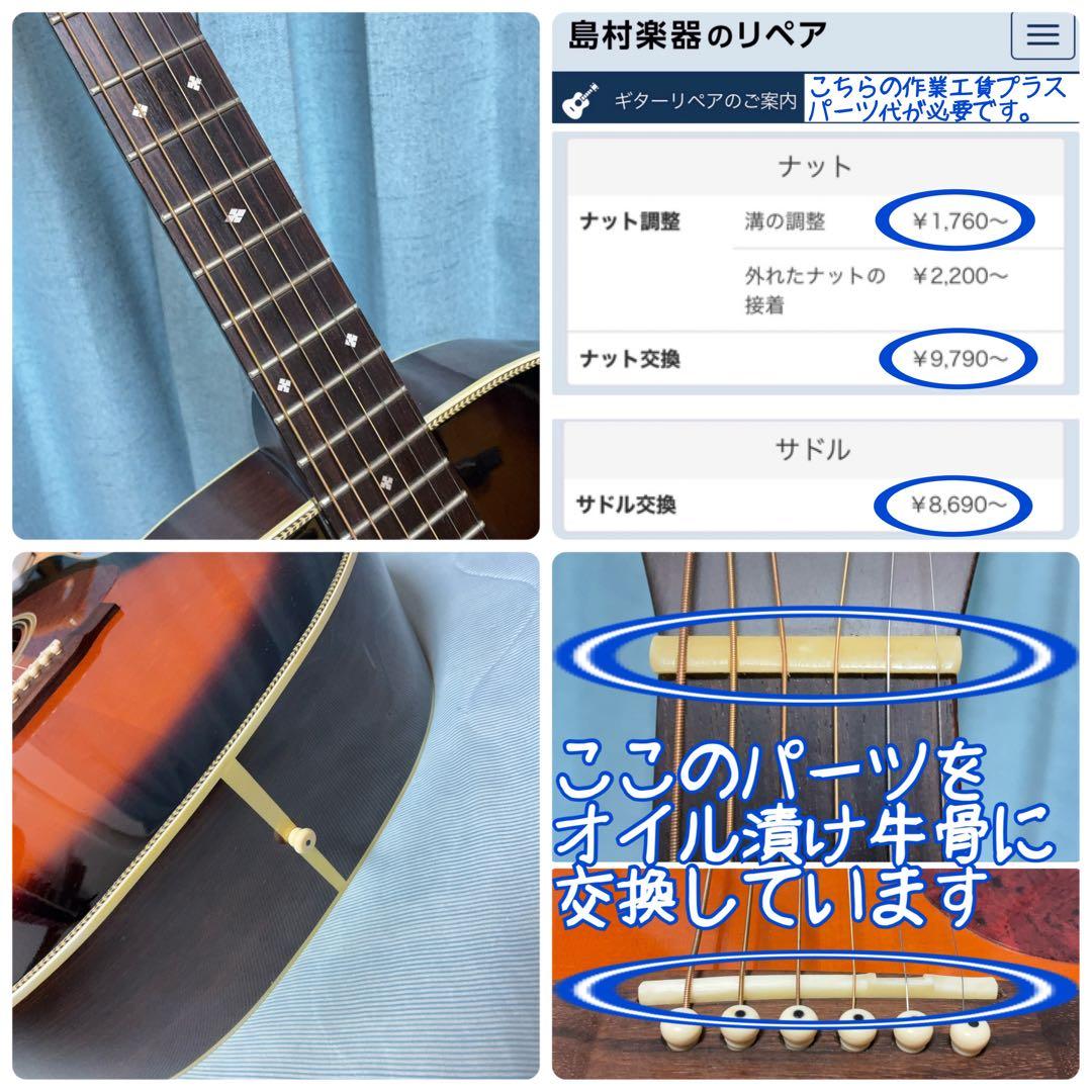 【牛骨★トップ&バック単板】アリアドレッドノートAD50【弾き易く調整☆新品弦】