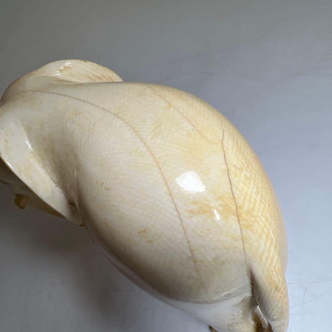 専用　極上象置物　441g/幅約14.5㎝　東Y8-0323②タサコサ