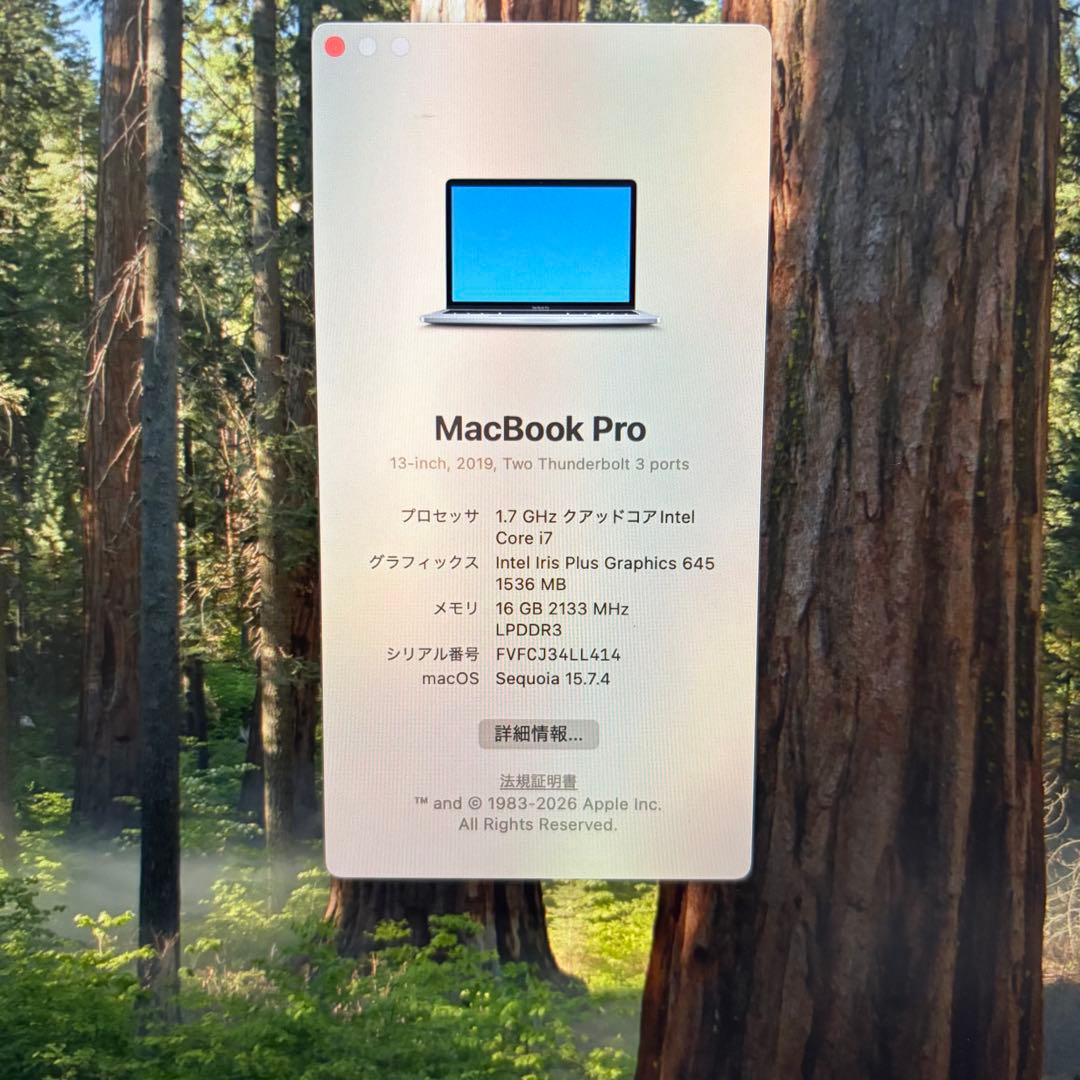 【バッテリー良】MacBook Pro 2019/13in/256GB/16GB