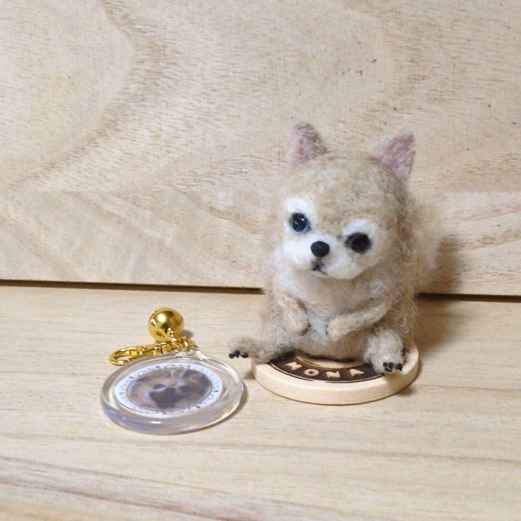 苔アートmana出品 豆猫PECO-LIN