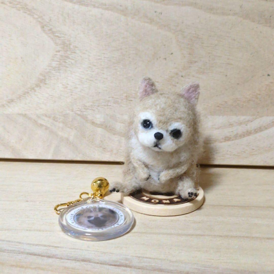苔アートmana出品 豆猫PECO-LIN