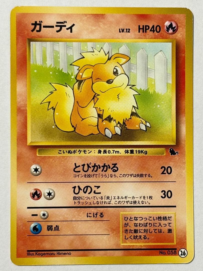 旧裏 イントロパック ピカチュウ ライチュウ ゼニガメ フシギダネ 他10枚