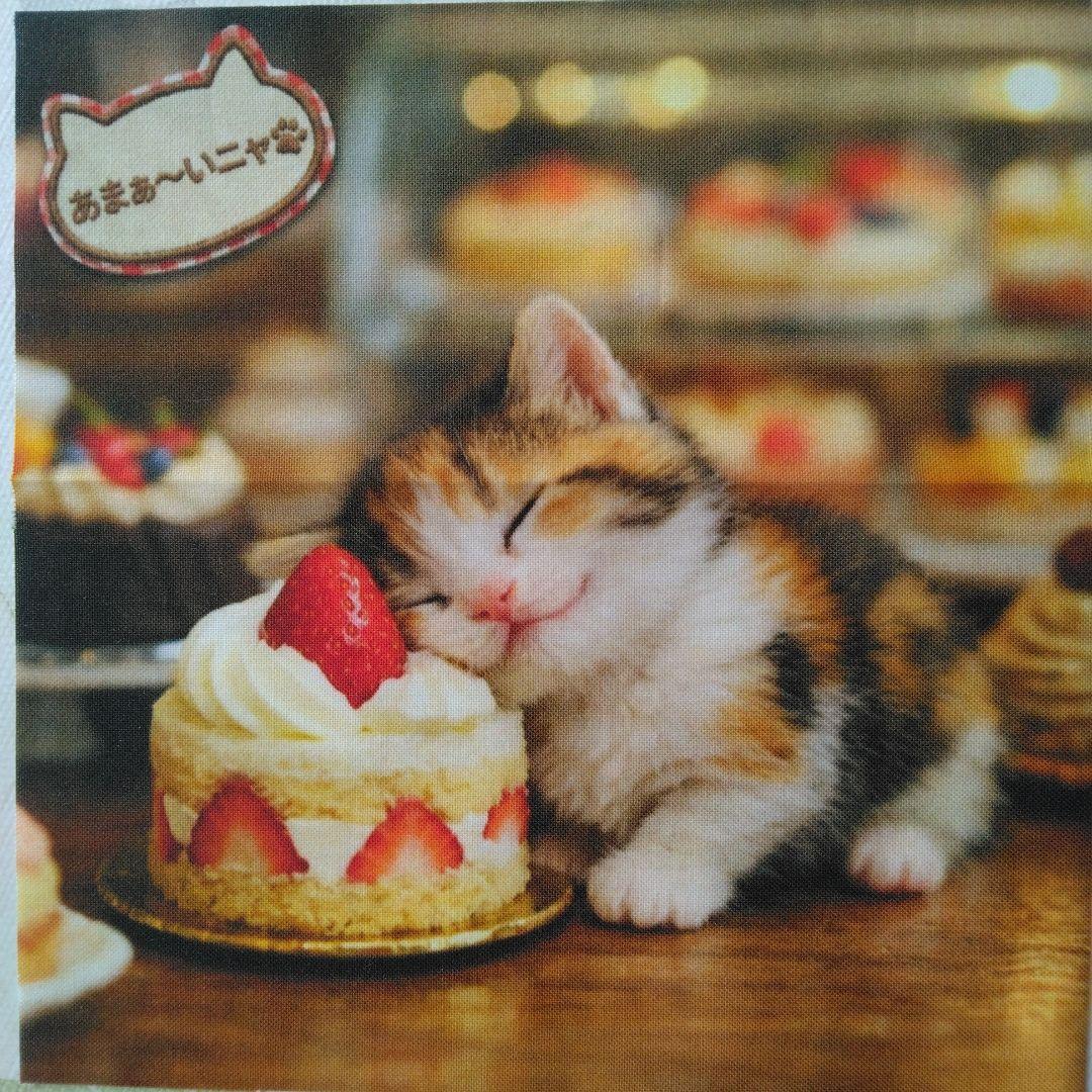 ☆受付☆猫 №2