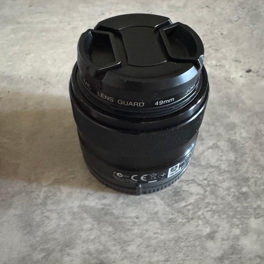 SONY ソニー a6000 ＋単焦点レンズ＋オマケ