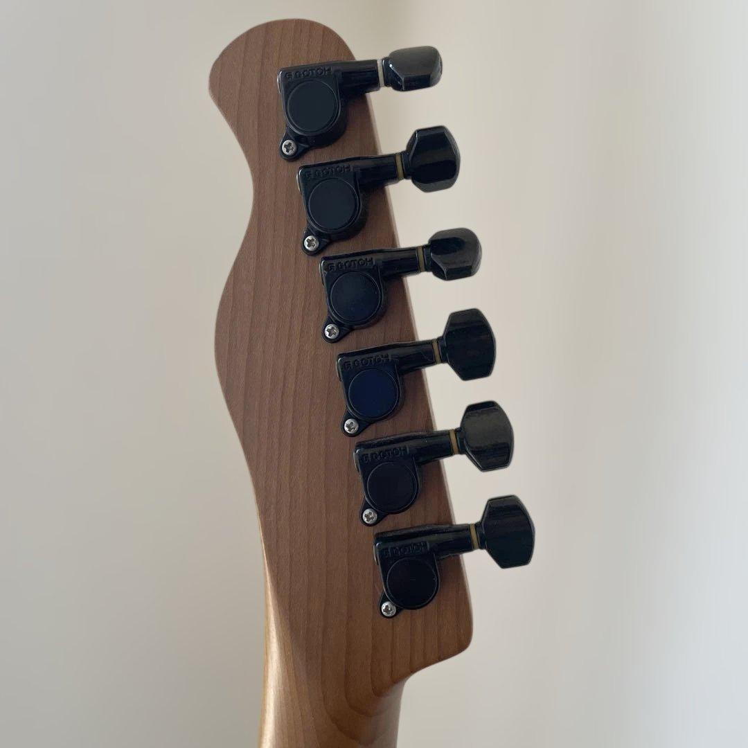 ギター Bacchus Universe series Telecaster P-90