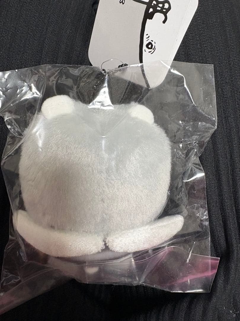 ナガノのくま　蚊