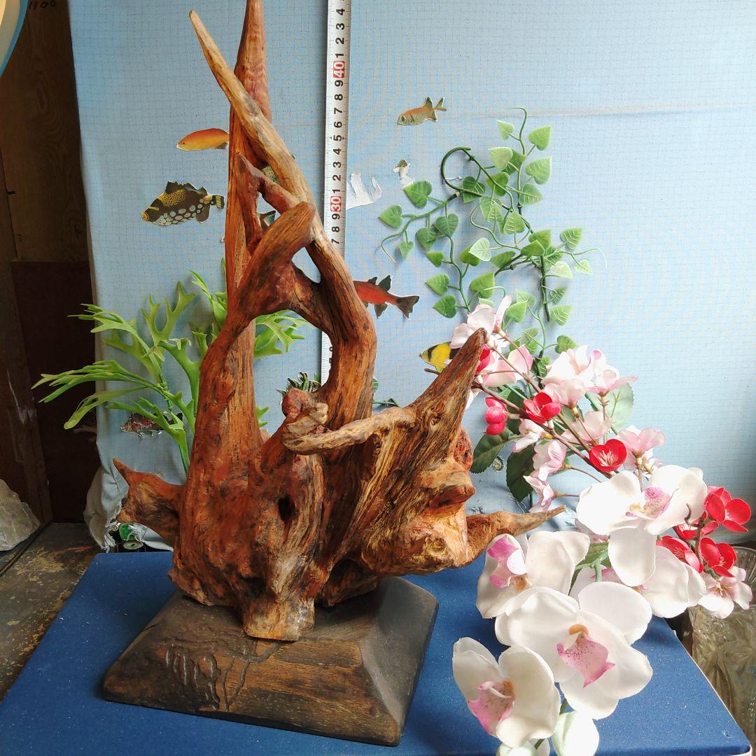 ７０アク抜き硬質流木♥単体美品♥台座付き