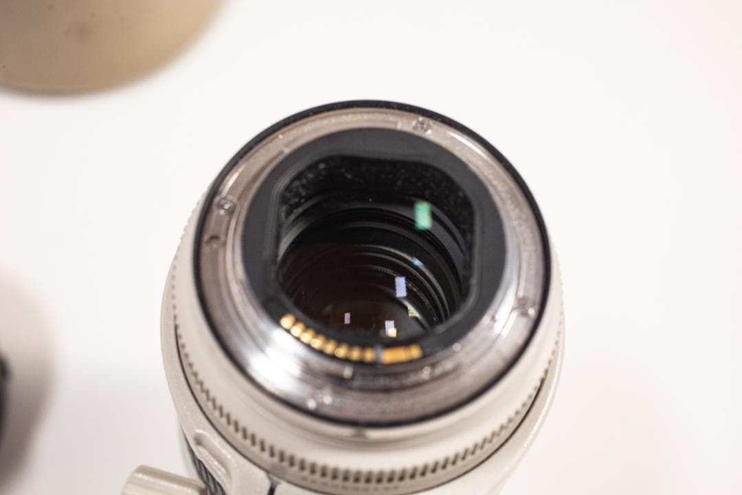 Canon EF 70-200mm f/2.8L IS II USM＋MC11