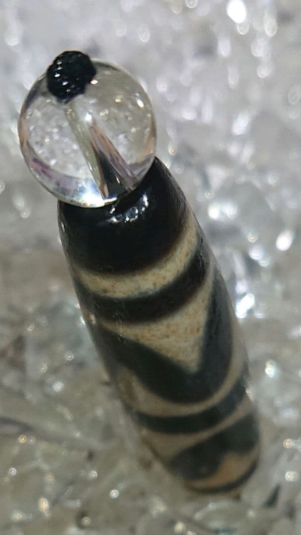 チベットビーズ老天珠 天然石 品名:虎牙天珠